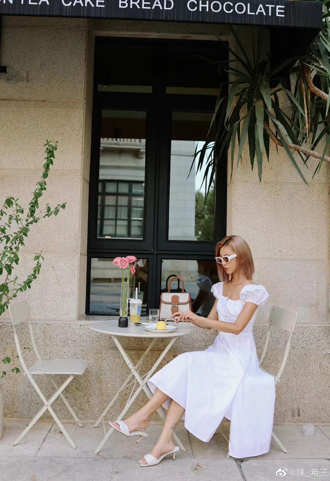 델보 브리앙 PM 토트백